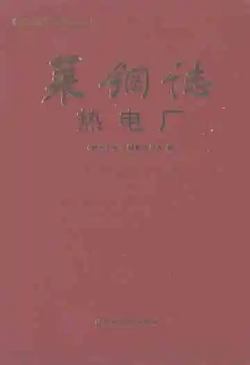 莱钢志热电厂(1998~2005)