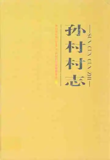 孙村村志