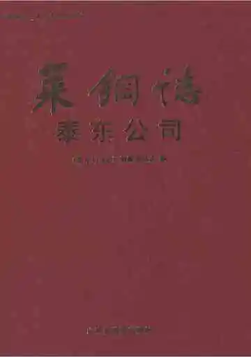 莱钢志泰东公司(2001~2006)