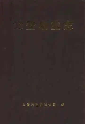 文登电业志(1926-1977)