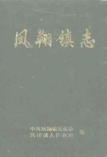 凤翔镇志