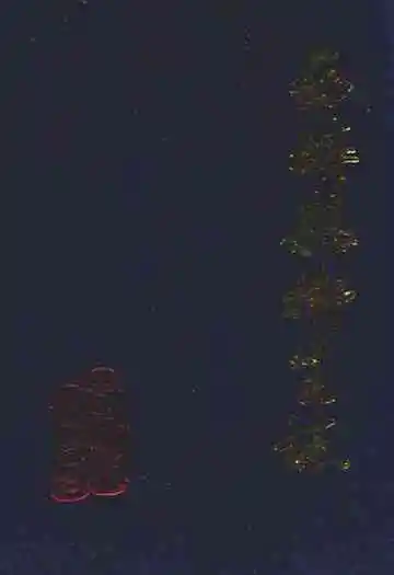 《西畴县卫生志(1854-1995)》封面