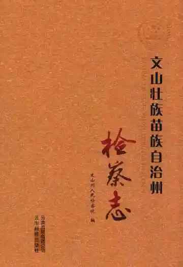 文山壮族苗族自治州检察志