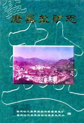 《磨黑盐矿志》