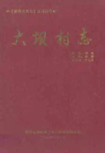 大坝村志