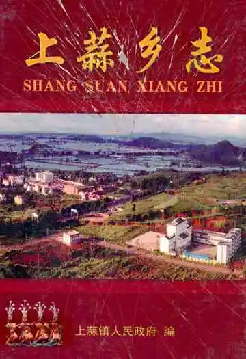 上蒜乡志(1991~2005)