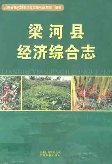 梁河县经济综合志