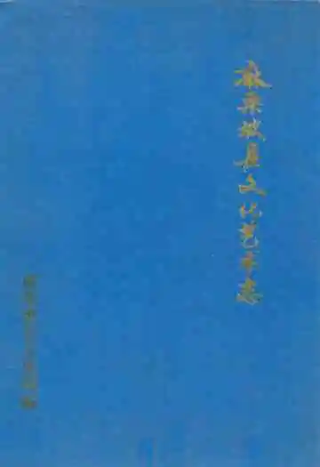 麻栗坡县文化艺术志(1644-1990)