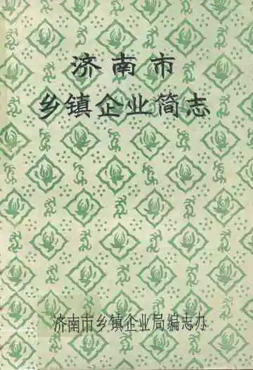 济南市乡镇企业简志