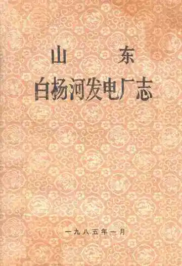 山东白杨河发电厂志