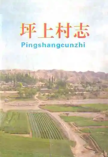 坪上村志
