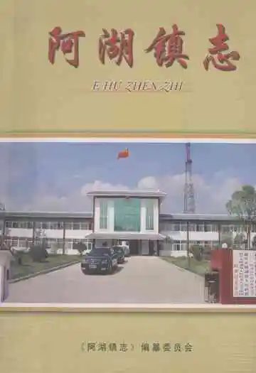阿湖镇志