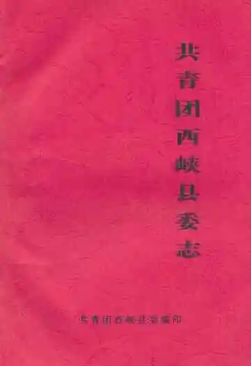 共青团西峡县委志