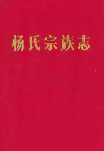 《杨氏宗族志》