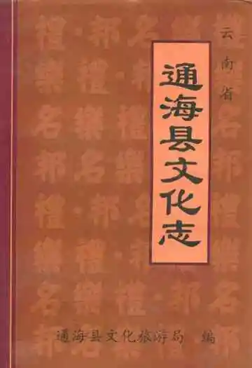 云南省通海县文化志