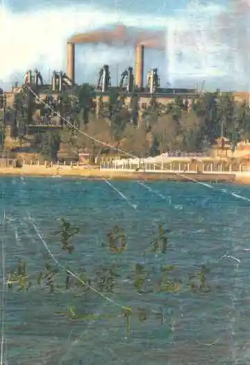 云南省阳宗海发电厂志(1988年5月)