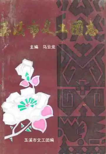 《玉溪市文工团志》