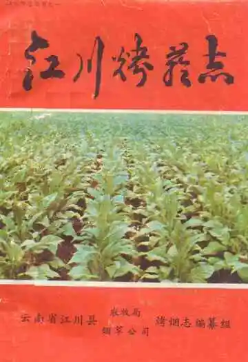 江川烤菸志