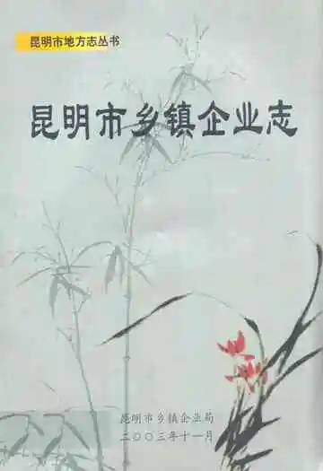 昆明市乡镇企业志