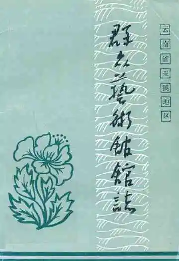 《群众艺术馆馆志》