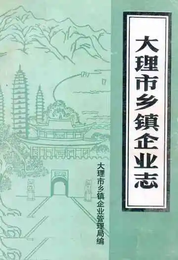 《大理市乡镇企业志》