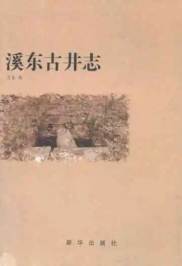 溪东古井志