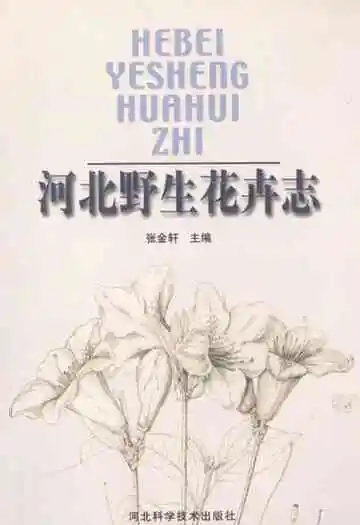 河北野生花卉志