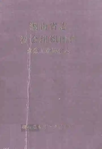 湖南省志社会组织团体火柴工业协会志