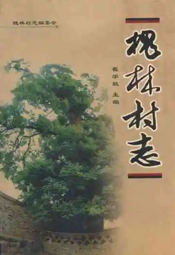 《槐林村志》