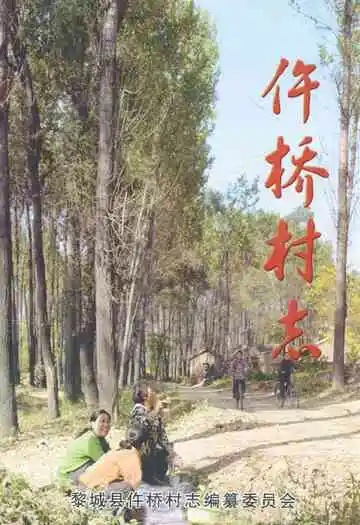 《仵桥村志》