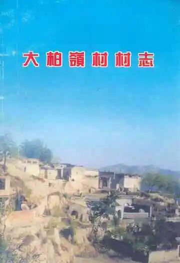 《大柏岭村村志》
