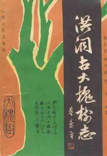 洪洞古大槐村志