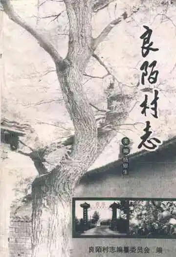 《良陌村志》
