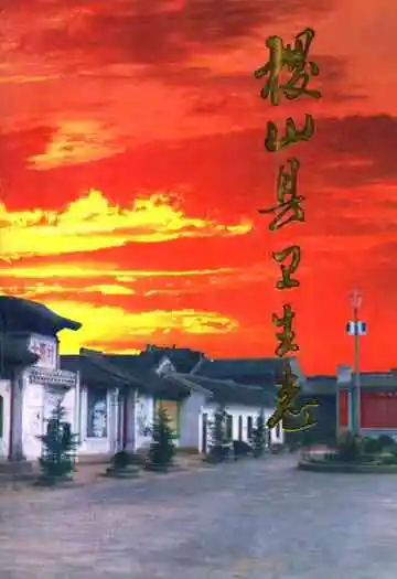 《稷山县卫生志》