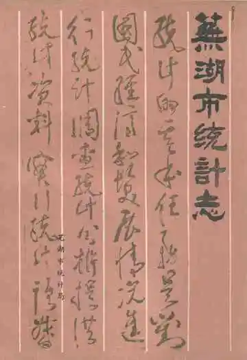 《芜湖市统计志》