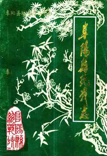 阜阳县统战志