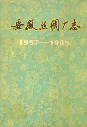 安徽丝绸厂志(1957-1985)