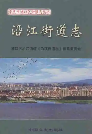 《沿江街道志》
