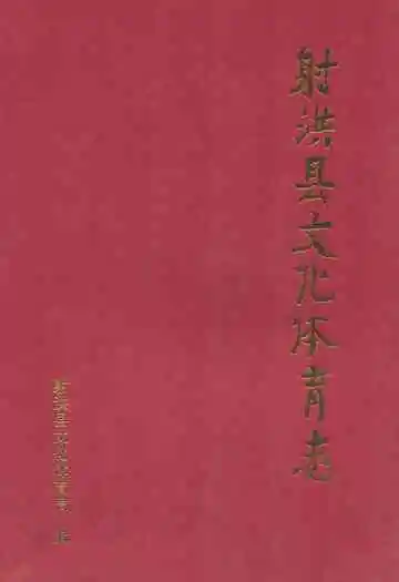射洪县文化体育志(1950-2007)
