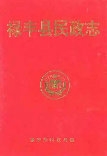 禄丰县民政志