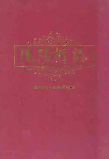沌阳街志