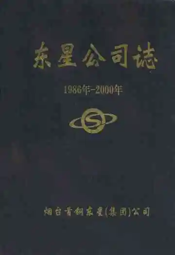 东星公司志(1986年-2000年)