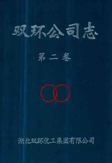 双环公司志第二卷