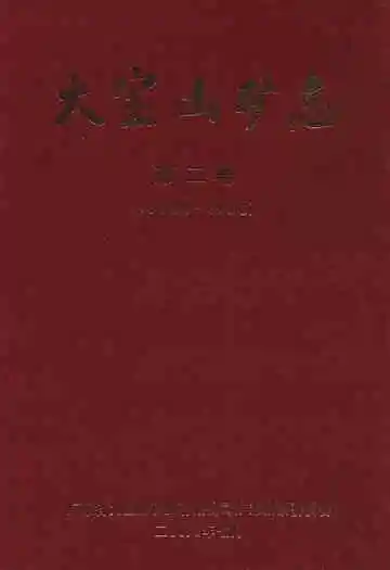 大宝山矿志 第二卷(1984-2006)