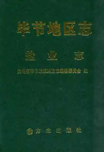 毕节地区志·盐业志