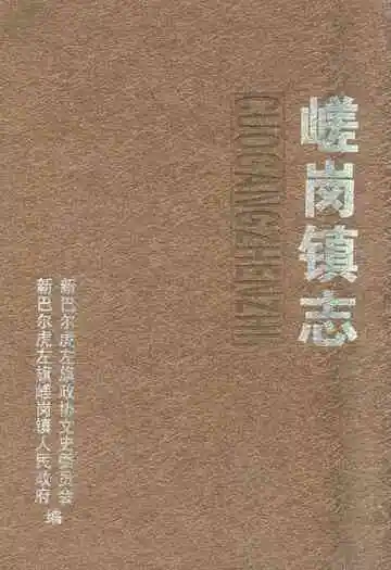 《嵯岗镇志》