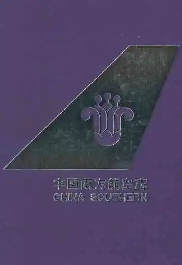 中国南方航空志·第五卷
