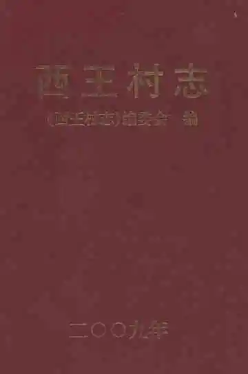 西王村志