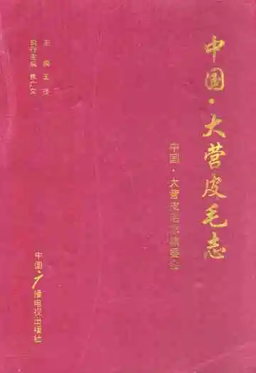 《中国·大营皮毛志》封面