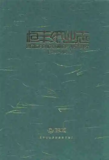 恒丰纸业志(2001-2006)